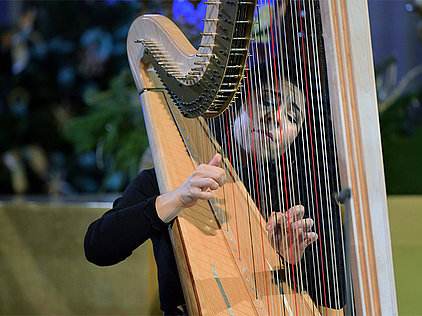  Die Harfenspielerin Anneleen Lenaerts spielt konzentriert auf einer großen, hellen Konzert-Harfe. Sie trägt ein schwarzes Oberteil, ihre Hände sind auf den Saiten der Harfe positioniert, während sie,beim Weihnachtskonzert 2025 der Salzkammergut Festwochen Gmunden in der festlich geschmückten Stadtpfarrkirche St. Nikolaus Bad Ischl spielt.