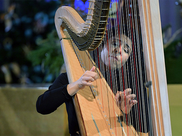 Die Harfenspielerin Anneleen Lenaerts spielt konzentriert auf einer großen, hellen Konzert-Harfe. Sie trägt ein schwarzes Oberteil, ihre Hände sind auf den Saiten der Harfe positioniert, während sie,beim Weihnachtskonzert 2025 der Salzkammergut Festwochen Gmunden in der festlich geschmückten Stadtpfarrkirche St. Nikolaus Bad Ischl spielt.