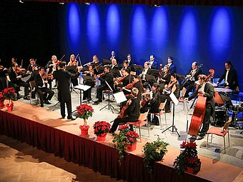 Das Ensemble Neue Streicher sitzt in einem Konzertsaal auf einer Bühne und spielt unter der Leitung eines Dirigenten. Die Musikerinnen und Musiker sind in eleganter, dunkler Kleidung gekleidet und spielen verschiedene Streichinstrumente wie Violinen, Bratschen, Celli und Kontrabass. Vor der Bühne stehen mehrere rote Blumentöpfe mit Weihnachtssternen. Der Hintergrund ist in kräftigem Blau ausgeleuchtet, was dem Auftritt eine festliche Atmosphäre verleiht. Die Notenständer sind gleichmäßig verteilt, und alle Musikerinnen und Musiker blicken zum Dirigenten.