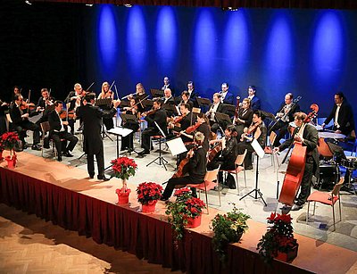Das Ensemble Neue Streicher sitzt in einem Konzertsaal auf einer Bühne und spielt unter der Leitung eines Dirigenten. Die Musikerinnen und Musiker sind in eleganter, dunkler Kleidung gekleidet und spielen verschiedene Streichinstrumente wie Violinen, Bratschen, Celli und Kontrabass. Vor der Bühne stehen mehrere rote Blumentöpfe mit Weihnachtssternen. Der Hintergrund ist in kräftigem Blau ausgeleuchtet, was dem Auftritt eine festliche Atmosphäre verleiht. Die Notenständer sind gleichmäßig verteilt, und alle Musikerinnen und Musiker blicken zum Dirigenten.
